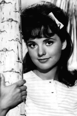 Dawn Wells filmek