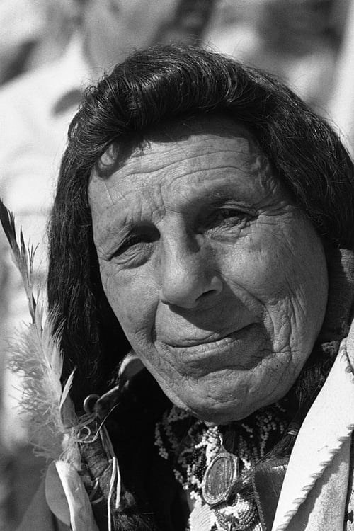 Iron Eyes Cody filmek