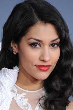 Janina Gavankar filmek