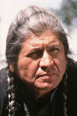 Gordon Tootoosis filmek