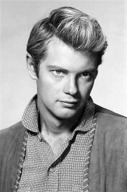 Troy Donahue filmek