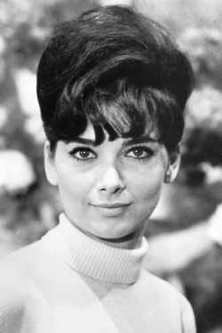 Suzanne Pleshette filmek