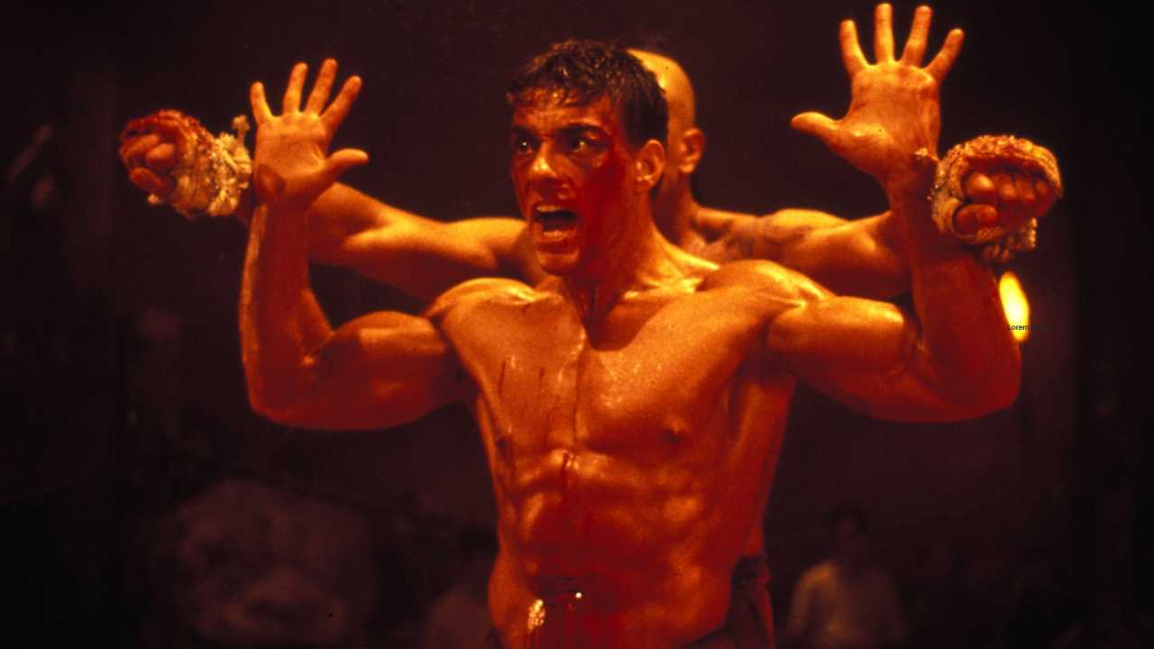 Kickboxer online