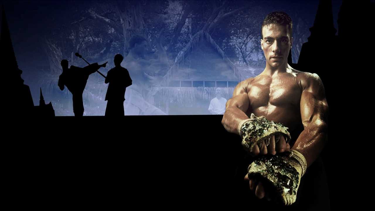 Kickboxer online