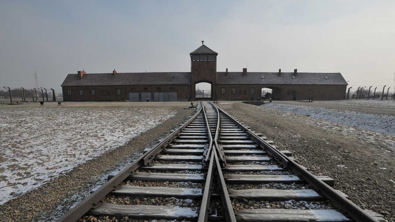 Születési helye: Auschwitz online