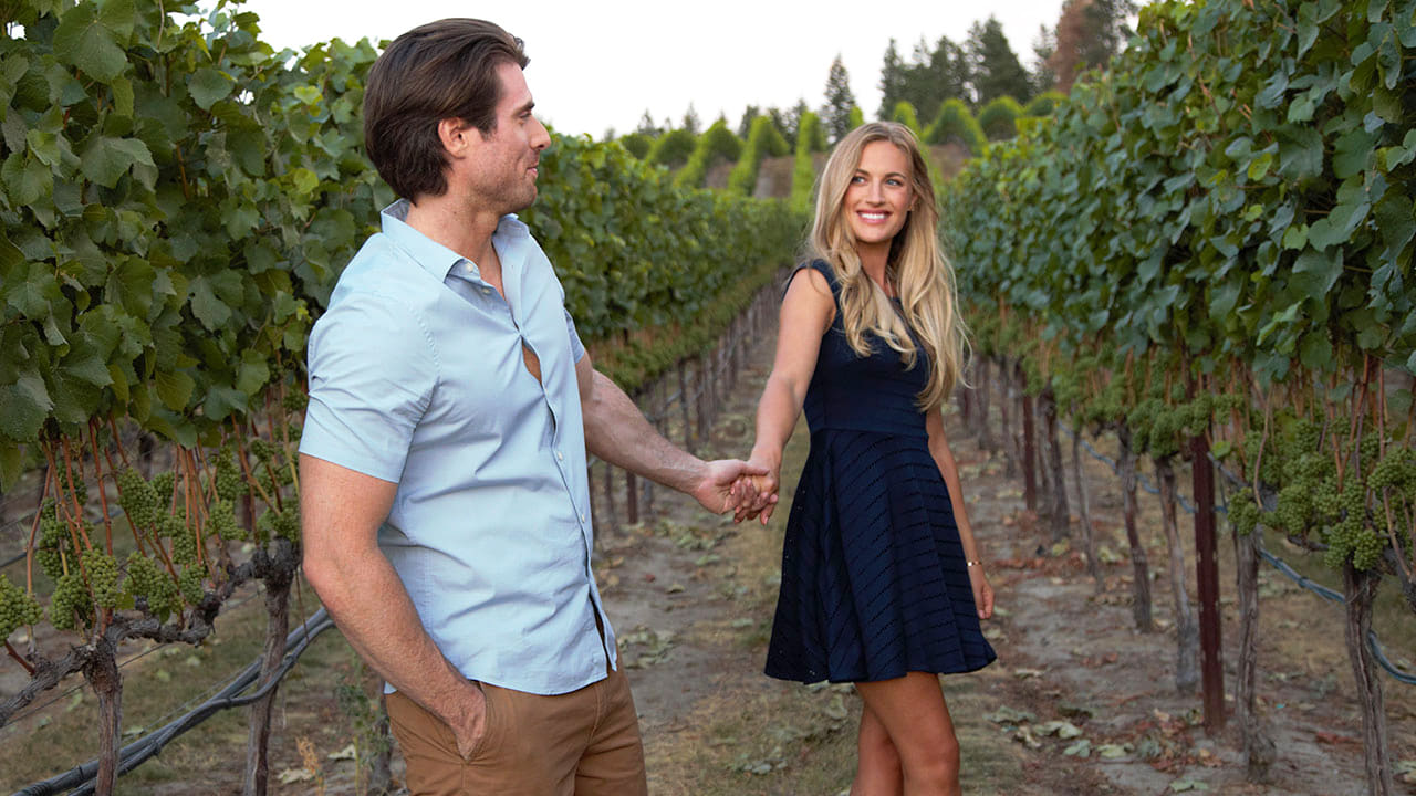 A Vineyard Romance online