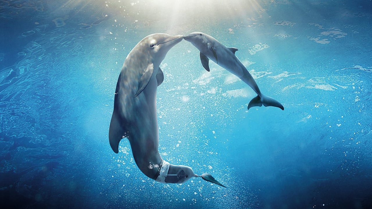 Delfines kaland 2. online