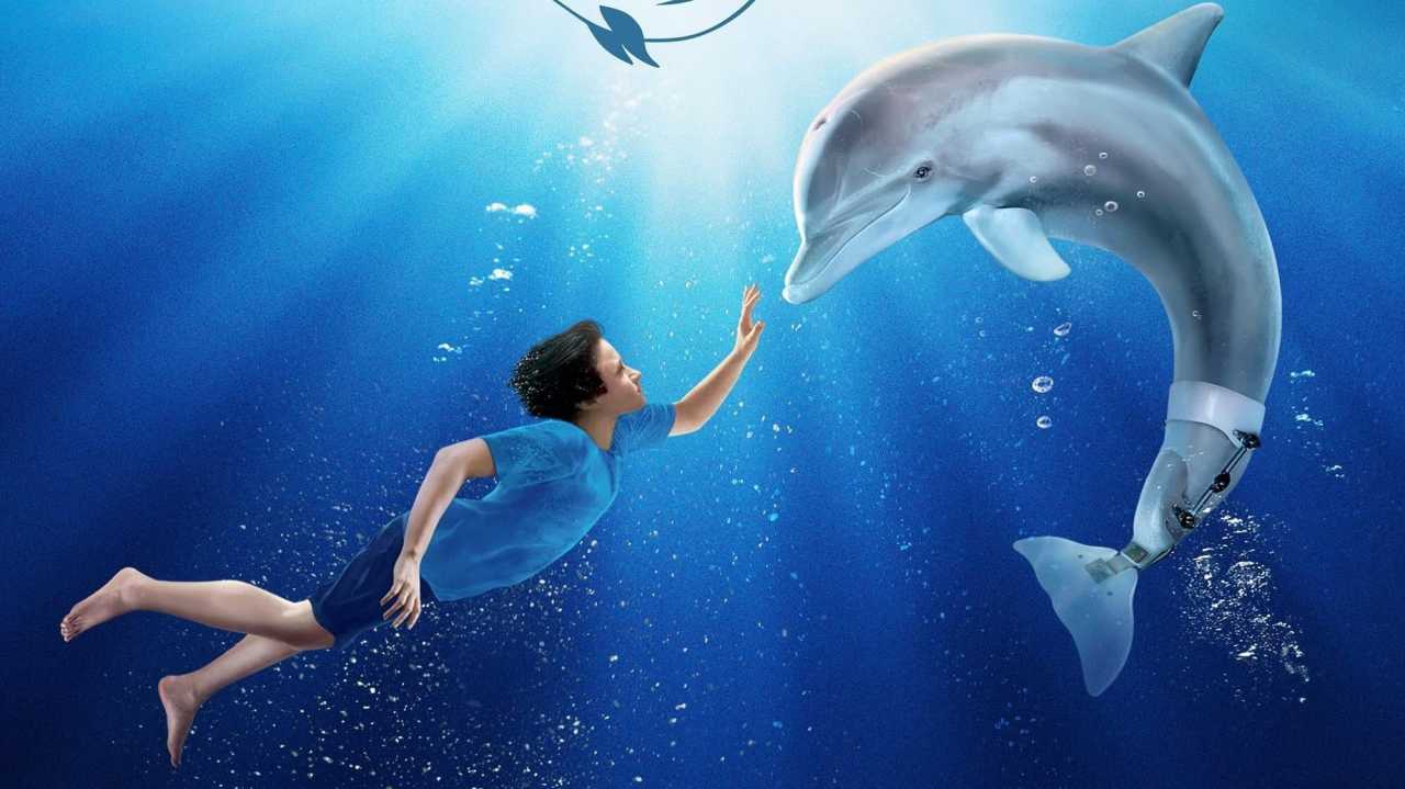 Delfines kaland online