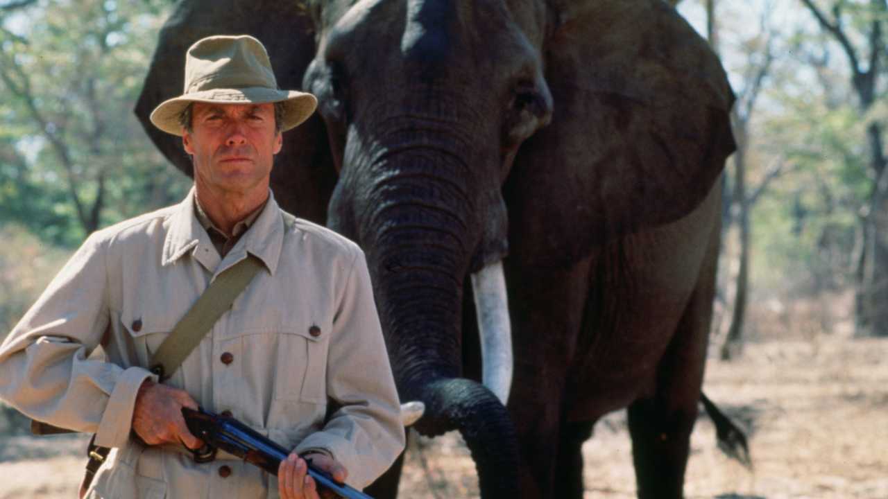 Az elefántvadász online