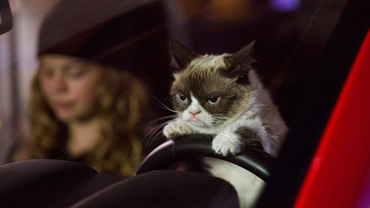 Grumpy Cat legrosszabb karácsonya online