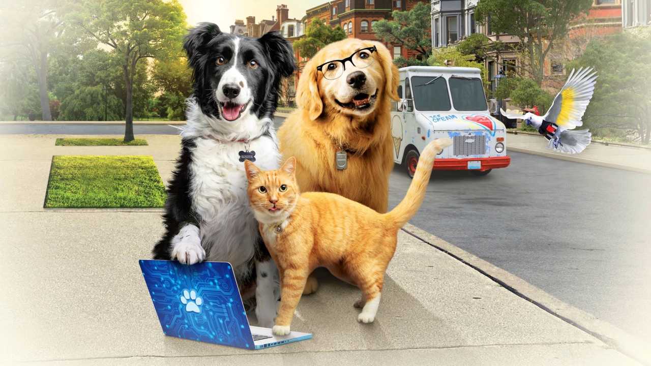 Kutyák és macskák 3. - A mancs parancs online