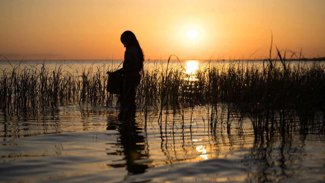 Ahol a folyami rákok énekelnek online