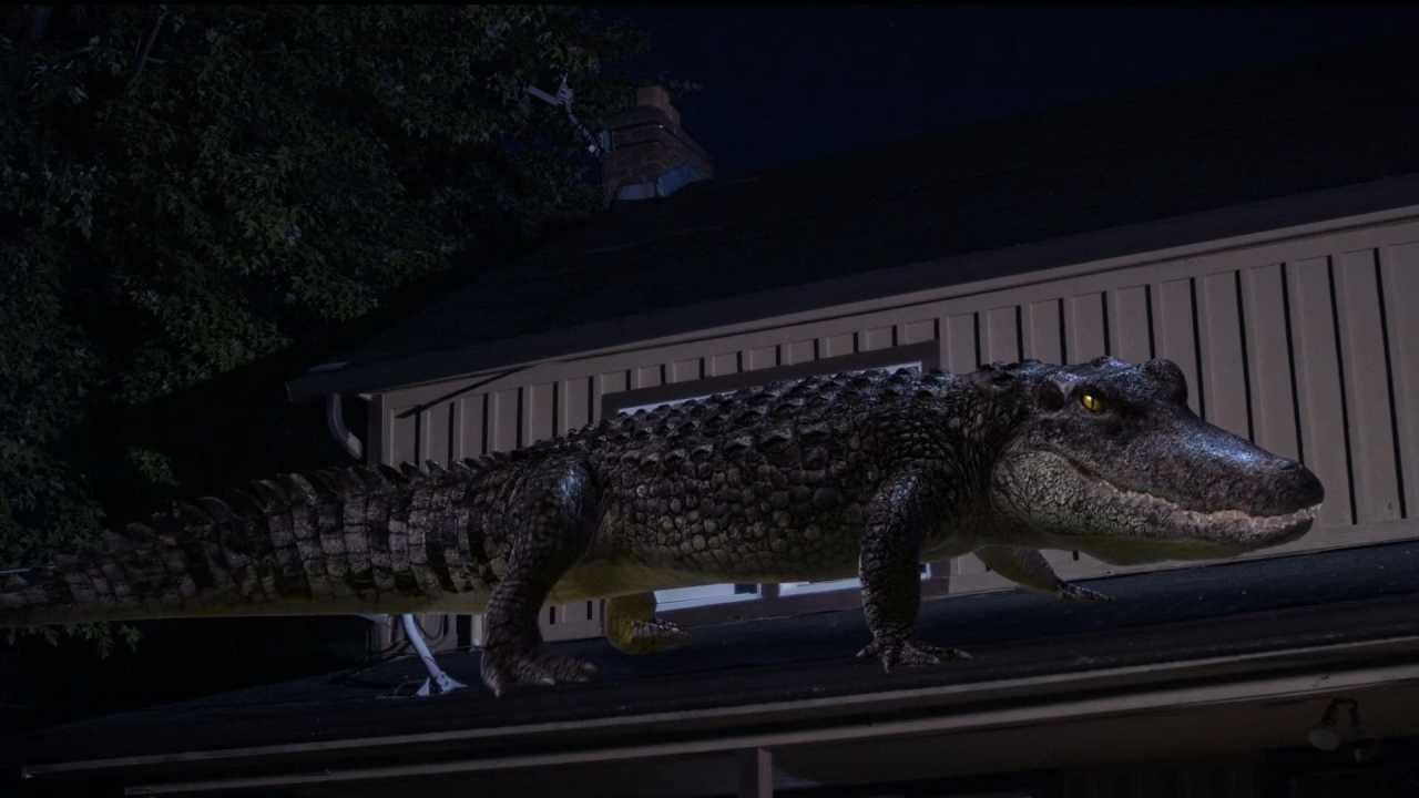 Bad CGI Gator online