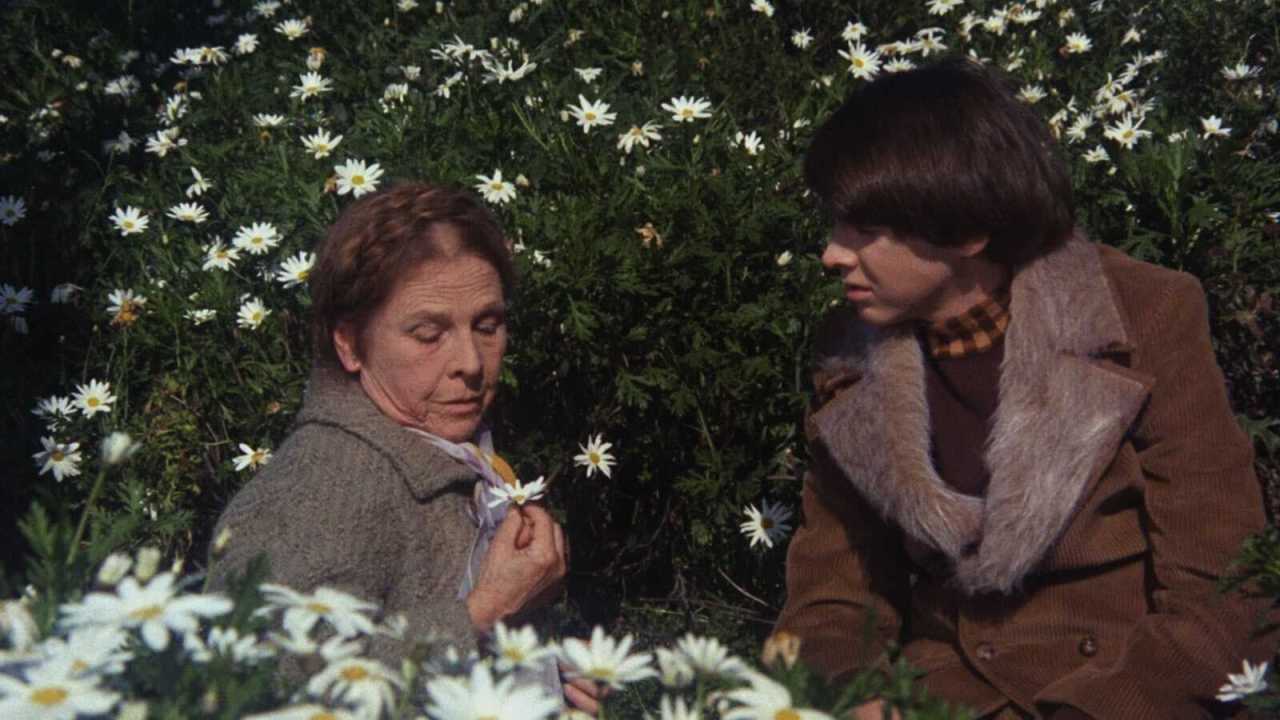 Harold és Maude online