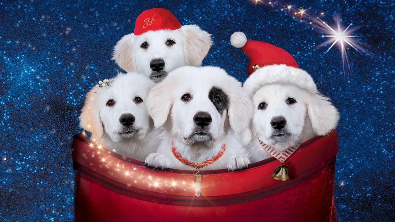 Karácsonyi kutyabalhé 2: A kölykök online