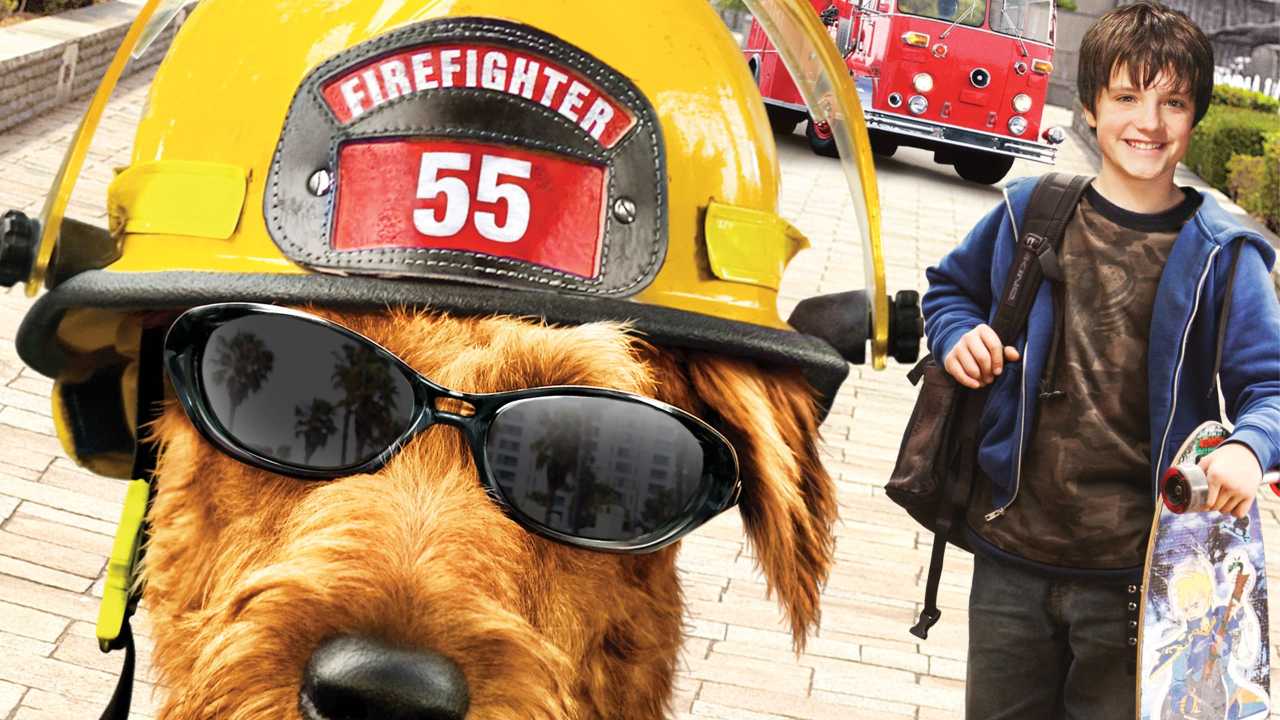 Tűzoltó kutya online