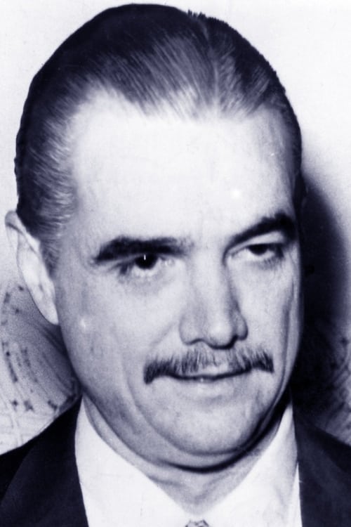 Howard Hughes rendező