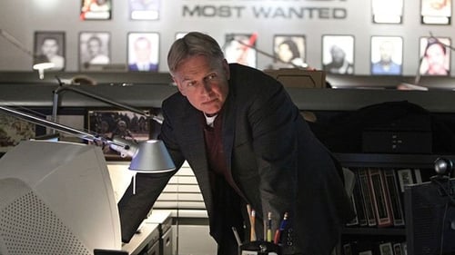 NCIS 12. évad A keresés online