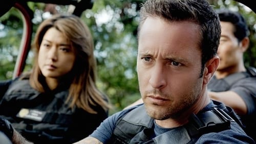 Hawaii Five-0 5. évad A jövő építése online