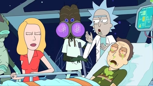 Rick és Morty 2. évad Interdimenzionális TV 2: Kisértjük a sorsot online