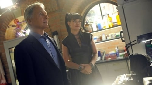 NCIS 13. évad Káros képek online