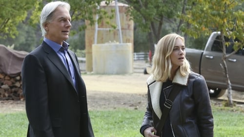 NCIS 13. évad Testvérek online