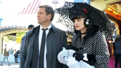 NCIS 13. évad Testvér város online