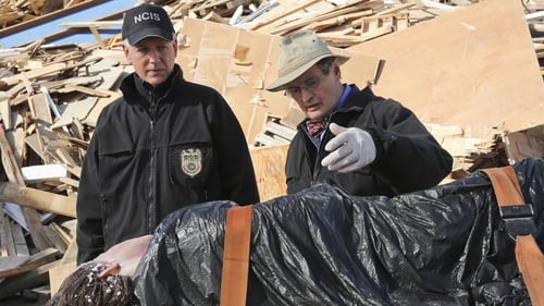 NCIS 13. évad Déja Vu online