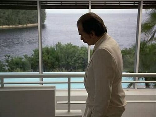 Miami Vice 2. évad Mindennek ára van online