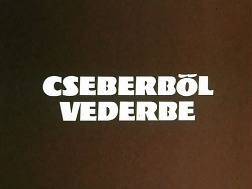 Vakáción a Mézga család 1. évad Cseberből vederbe online