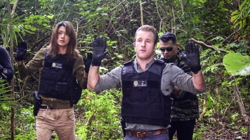 Hawaii Five-0 7. évad 21. epizód online