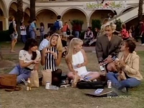 Beverly Hills, 90210 2. évad 8. epizód online