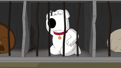 Family Guy 16. évad A Wall Street farkaskutyája online