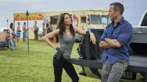 Hawaii Five-0 8. évad 20. epizód online