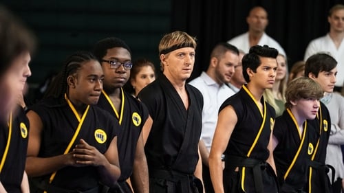 Cobra Kai 1. évad Kegyelem online