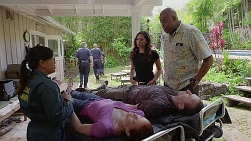 Hawaii Five-0 8. évad 25. epizód online