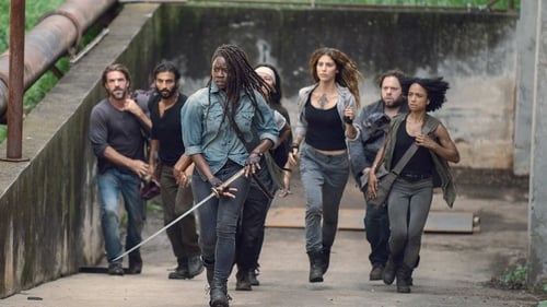 The Walking Dead 9. évad Stradivarius online