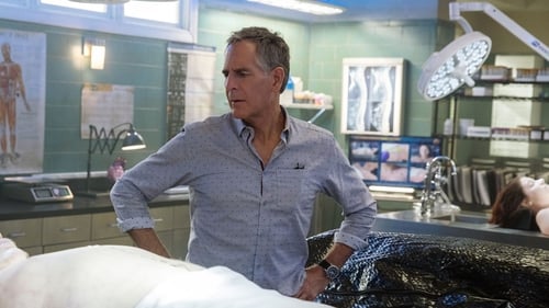 NCIS: New Orleans 5. évad 13. epizód online