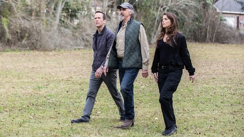 NCIS: New Orleans 5. évad 17. epizód online