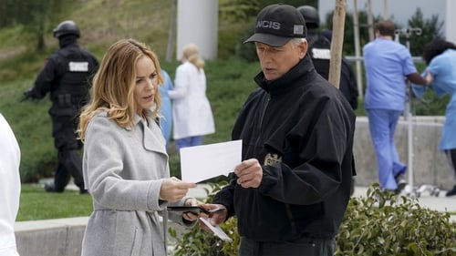 NCIS 16. évad Örökzöld online