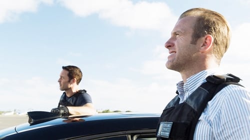 Hawaii Five-0 9. évad 25. epizód online