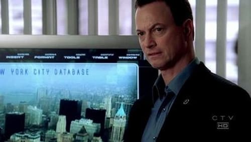 CSI: New York-i helyszínelők 2. évad Feltépett sebek online