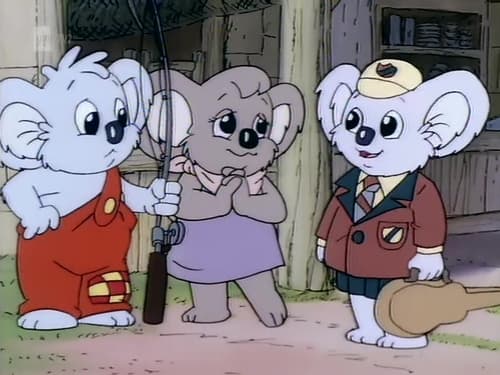 Blinky Bill kalandjai 1. évad Most kicsoda Blinky Bill? online