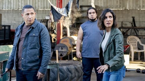 NCIS: Los Angeles 12. évad 9. epizód online