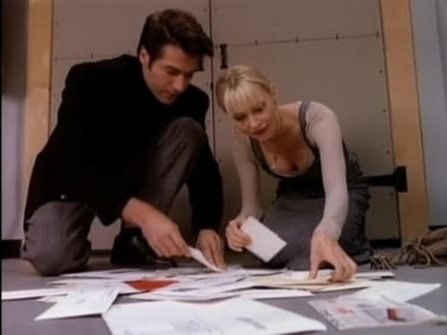 Melrose Place 3. évad 12. epizód online