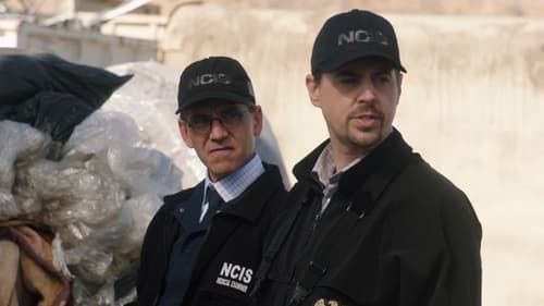 NCIS 19. évad Üss vagy fuss! online