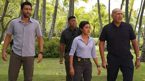 NCIS: Hawai'i 1. évad 8. epizód online