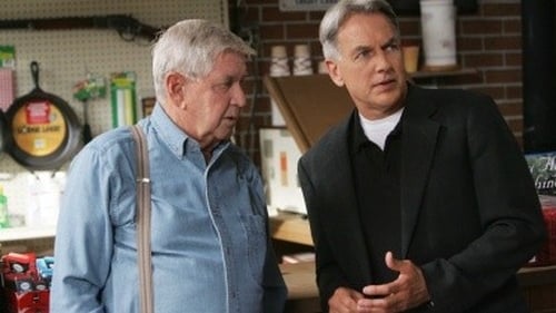 NCIS 6. évad Szülőföld online