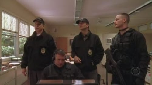 NCIS 3. évad Csalétek online