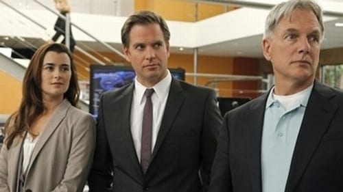 NCIS 8. évad Tükörkép online